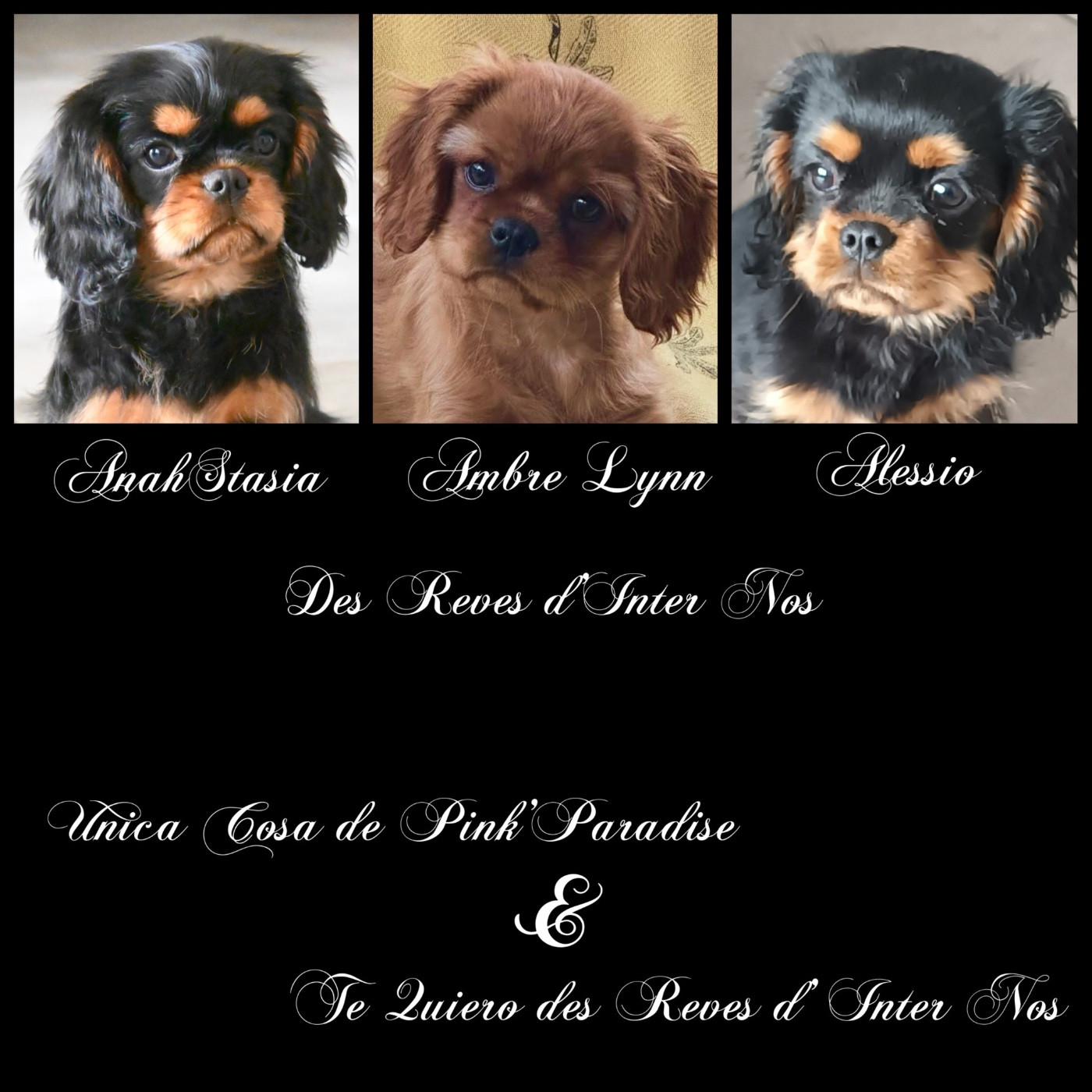 Mariage Lucia et Tiago